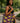African Ankara Tote Bag Wax Print | Afrocentric Fashion | Large Capacity