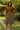 African Tribal Flare Skirt | Cowrie Print Midi Length