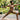 Afrocentric Prints Enter Yoga and Athleisure Markets