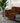 Gray sofa with a kuba patterned orange and black blanket in a modern living room.
