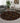 Round patterned rug in a living room with a sofa, coffee table, and decorative items.