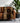 Ethnic Blanket Gold and Black | African Tribal Decor