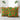 Kente African Print Pillow Cover | Traditional Culture Decor - 2 Sets