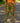 Kente Print Women Leggings - Motherland Design Eco-Friendly