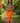 Midi Pencil Skirt Orange Cotton Crepe – Vibrant Chic