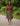 Mudcloth Print African Skirts | Women's Midi Style-Bynelo