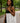 Mudcloth Tote Bag African Print | Afrocentric Fashion | Large Capacity
