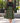 Mudcloth Tribal African Women's Midi Chiffon Skirt