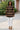 Terracotta Earthy Pattern Ladies Shirt Dress | Classy Fit | Earthy African Print Dress for Women | Bynelo