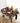 African Print Tablecloth Mudcloth - Bynelo
