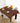 African Tablecloth Kuba Print - Bynelo